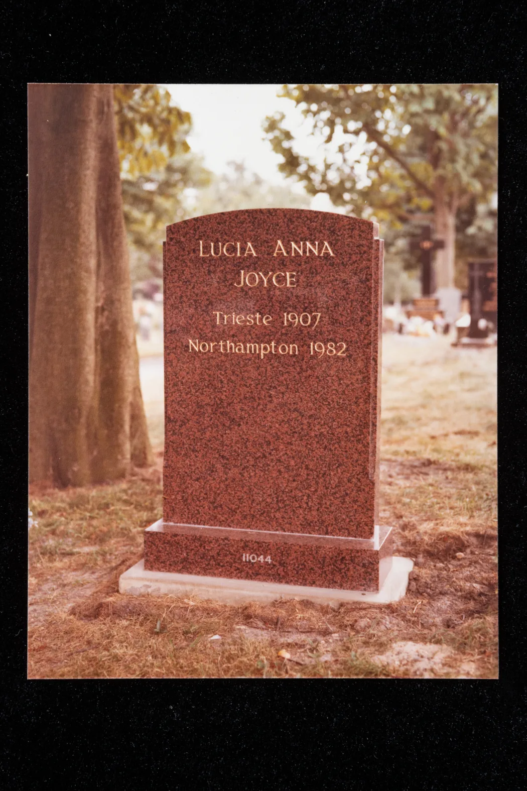 Colour photo of Lucia Joyce's grave