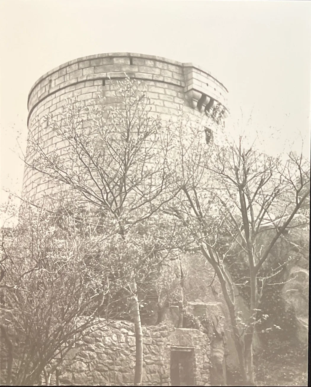 4 photos by Peter Sellers of Joyce Tower 1979